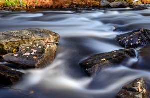 sergey-pesterev-484555-unsplash